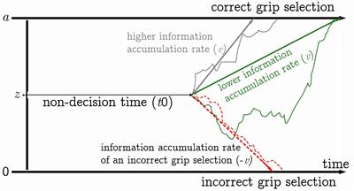 Does aging amplify the rule-based efficiency effect in action selection?